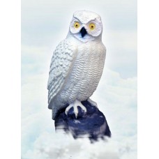 Sneeuwuil- OWL SCREECH WHITE